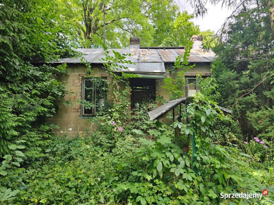 sprzedaży działki Dąbrowa Widawska 2500m2