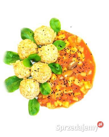 Dieta online indywidualny plan żywieniowy pdf Jasieniec