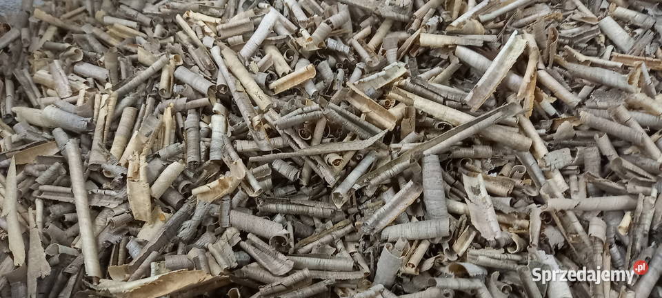 trociny orzech włoski suche Błotnica Strzelecka