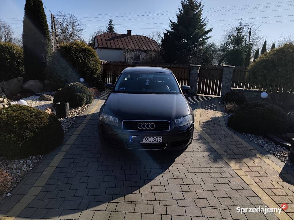 Audi a3 8p 16 mpi Radzyń Podlaski