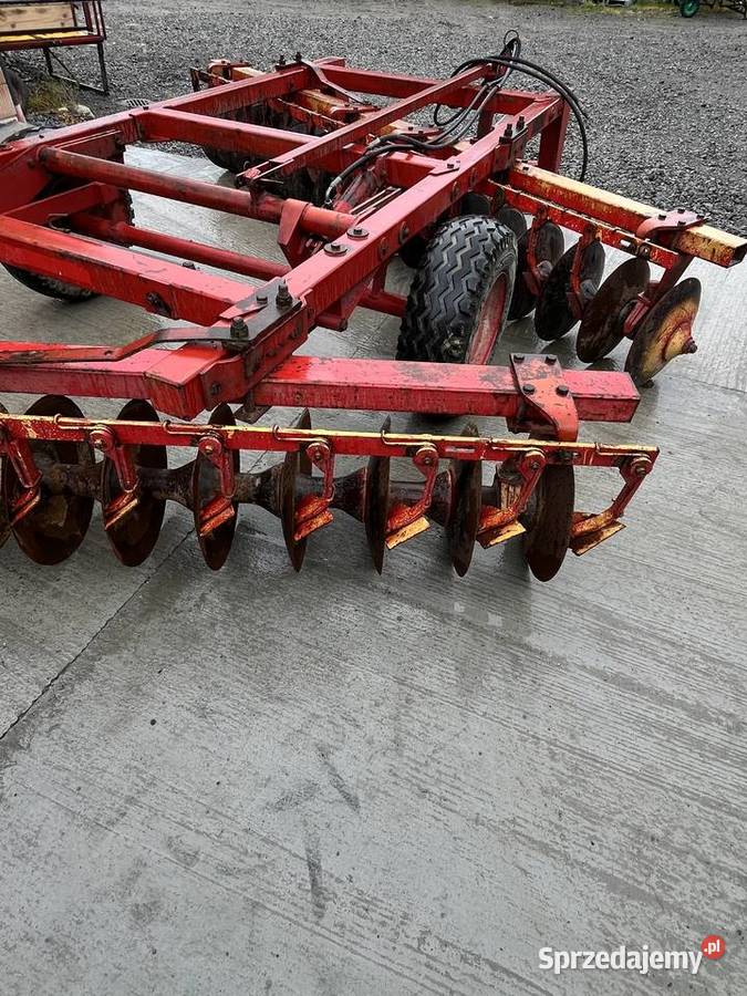 Talerzówka lila harie 16x2 lubelskie Bukowina