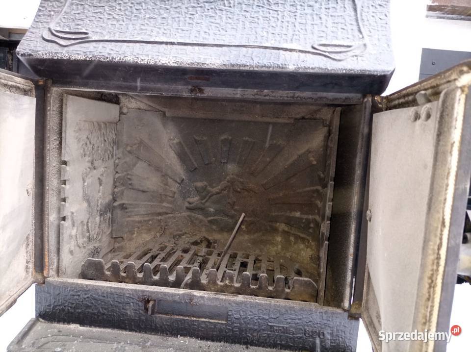 Norweska Koza wielkopolskie