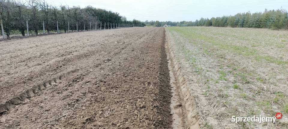 Pług gassner 4 obrotowy Mszczonów