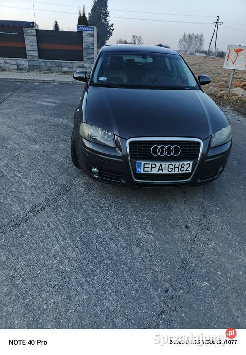 Audi A3 8P 19TDI łódzkie Dłutów