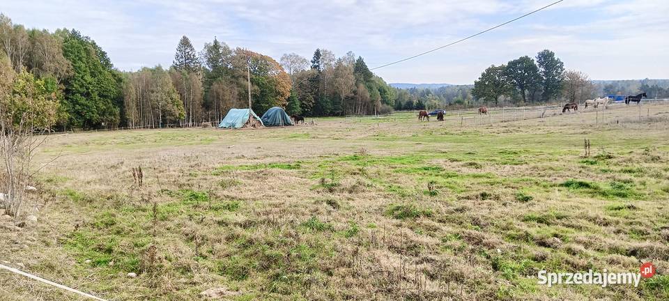 Działka w Szemudzkiej Hucie 149 M2 utwardzona