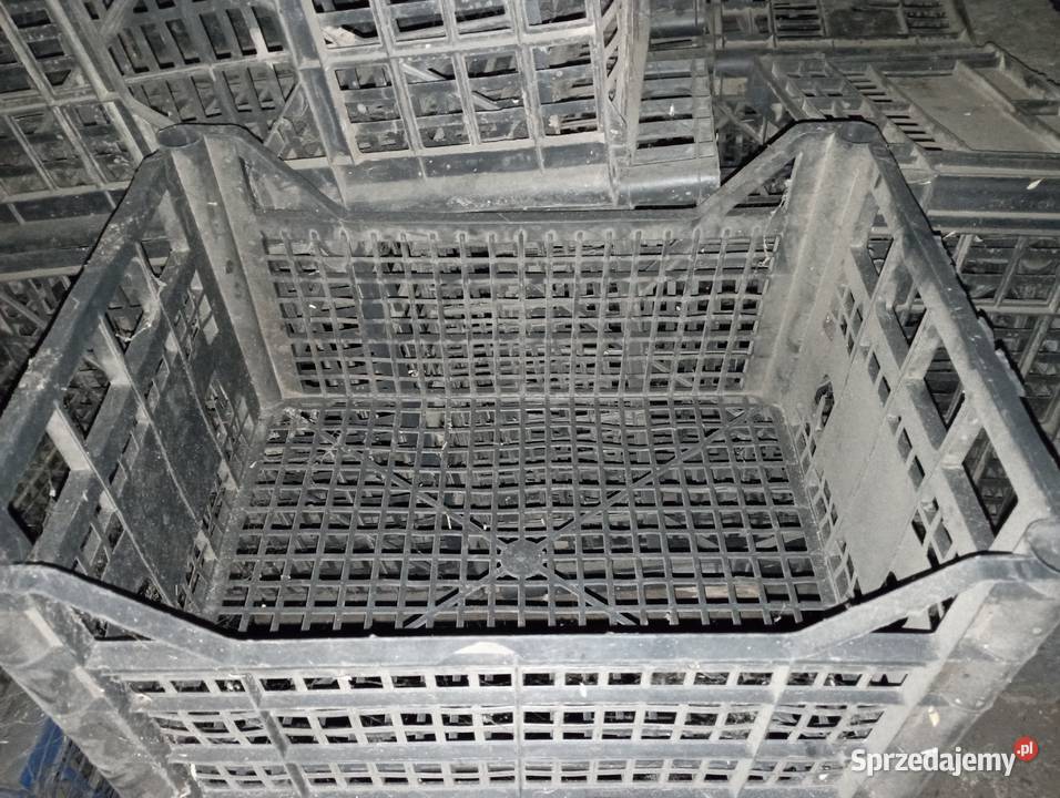 Sprzedam skrzynki do ziemniaków kiełkowanych wielkopolskie