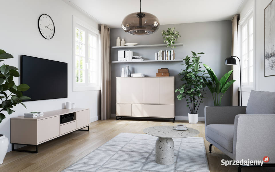Szafka pod telewizor 160x49x45 4kolory Wieruszów