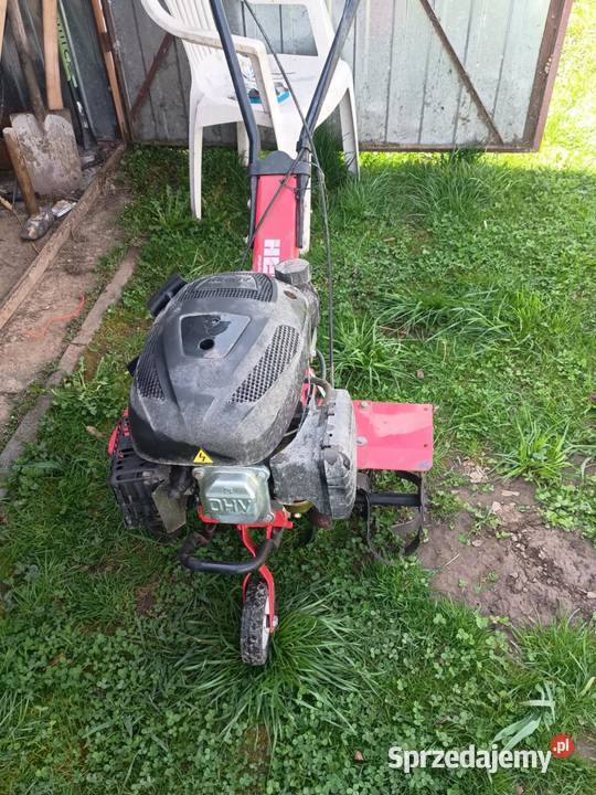 Glebogryzarka podkarpackie