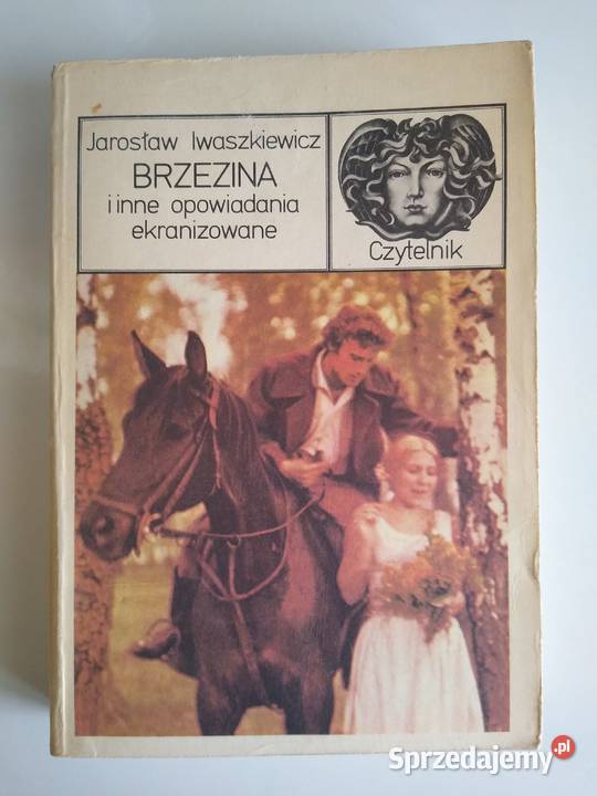 Brzezina i inne opowiadania Jarosław Gdańsk