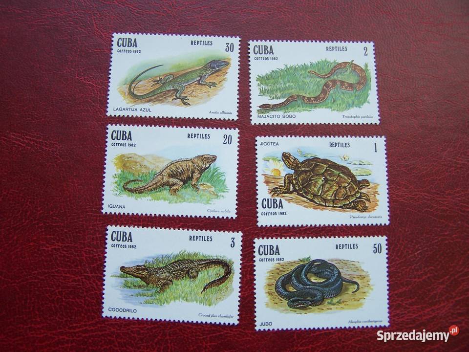 Kuba 1982 MNH Mi 266772 Fauna Gady Żółwie Tychy sprzedam