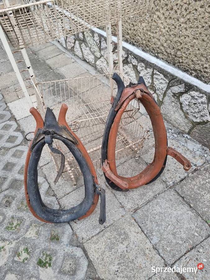 Homonto Pozostałe Mszczonów