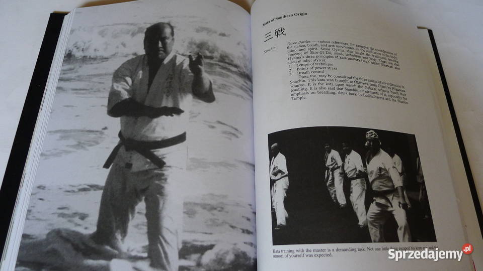 CAMERON Oyama Budo Karate Kyokushin Collins mazowieckie Radom