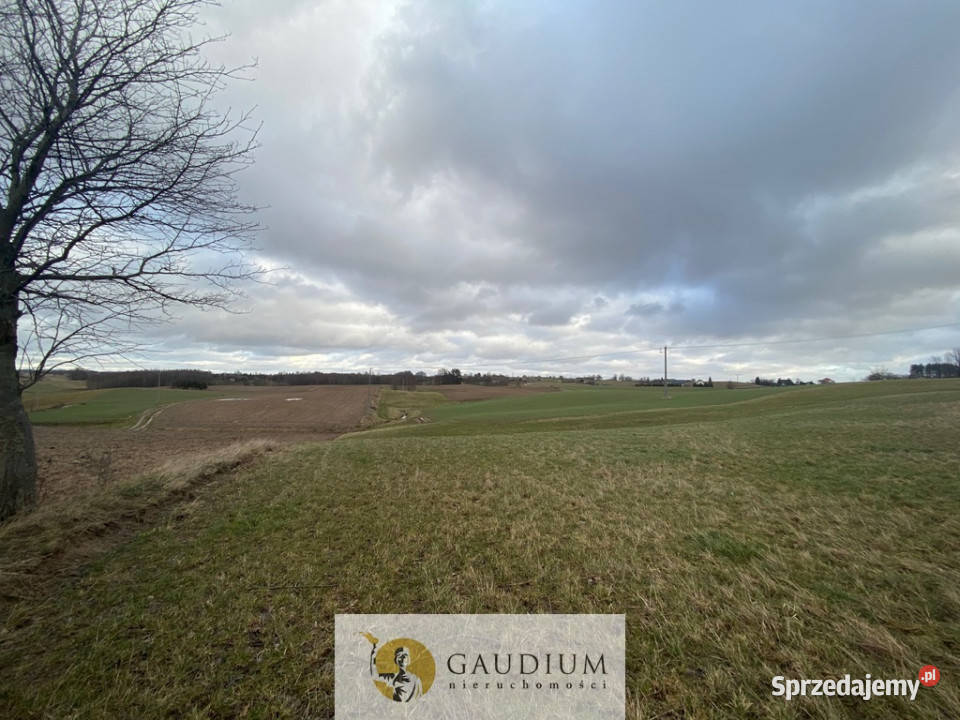 Działka w Pomieczyńskiej Hucie Pomieczyńska Huta