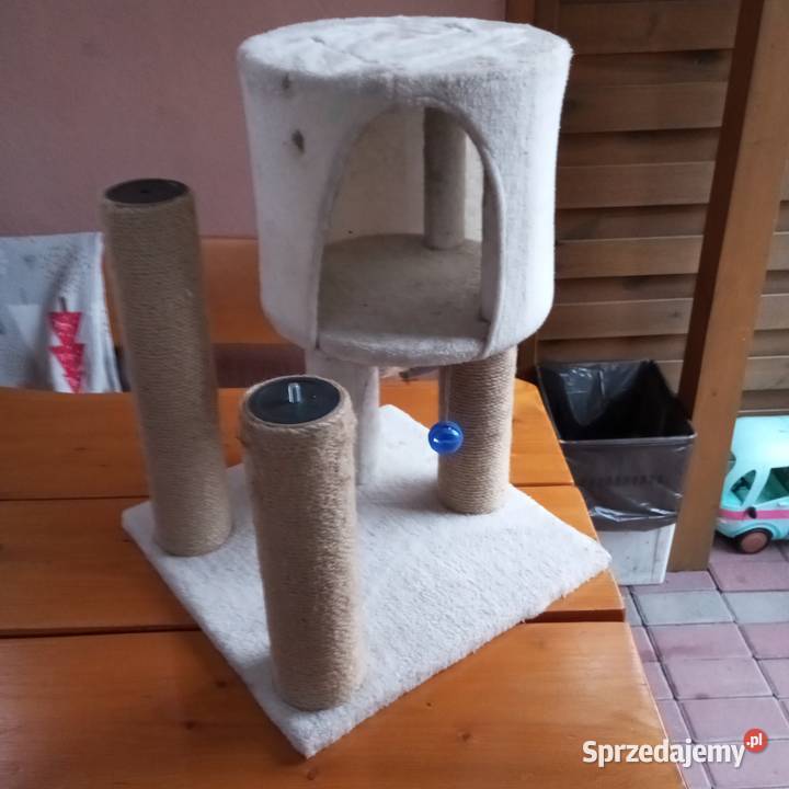 Drapak kota mały drapak kota Złotoryja