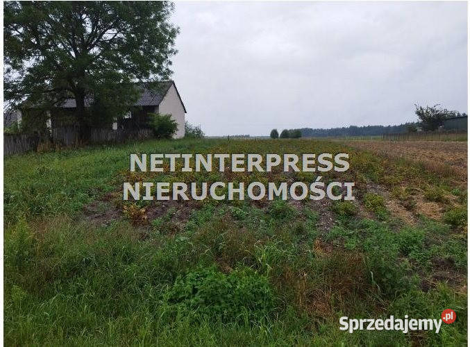 Grunt Tarłów 900m2 świętokrzyskie