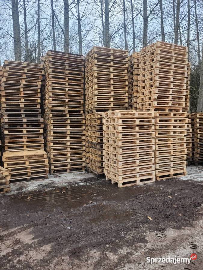 Paleta drewniana 120x80 120x100 Nisko