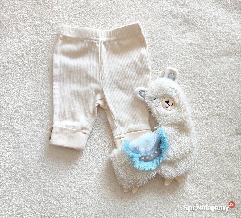 Spodenki legginsy Sinsay 56 bawełna kremowe Spodnie Szczecin