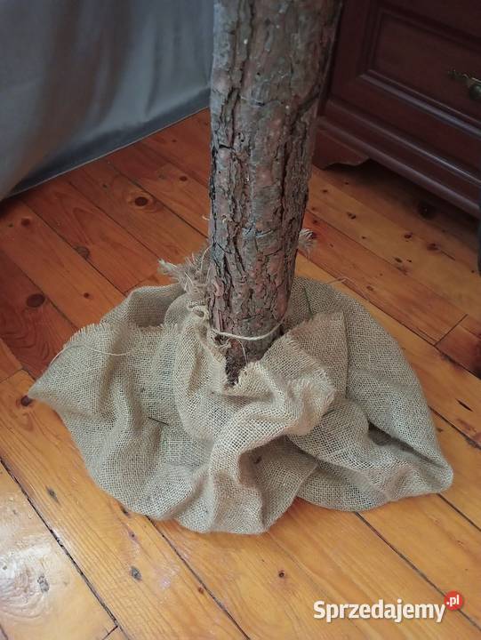 Choinka na pniu 180 ośnieżona lampki w komplecie Dekoracje świąteczne Jaworzno