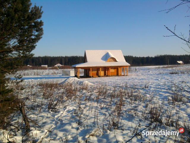 dzialke siedliskowom w czapielsku Czapielsk