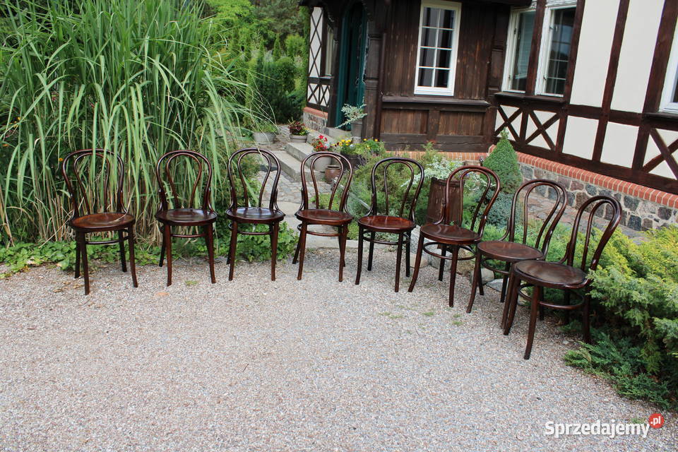 Krzesło gięte Thonet fabryka mebli z Wojciechowa kujawsko-pomorskie Antoniewo