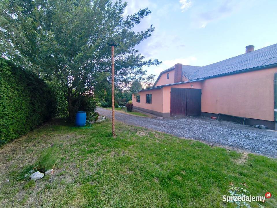 Siedlisko 219 ha dom 150m ROZTOCZE ZACHODNIE lubelskie Czernięcin Poduchowny sprzedam