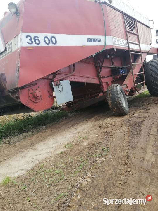 Kombajn Laverda 3600 Cewice sprzedam