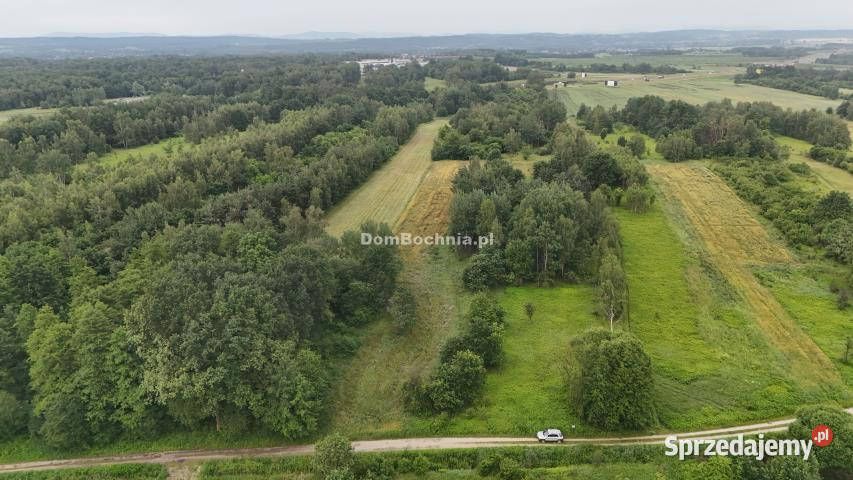Grunt 5141m2 Borek utwardzona
