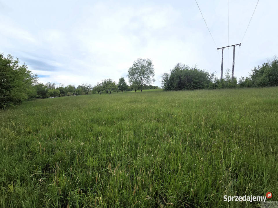 Działkę sprzedam 2385m2 Gorzeń Dolny Dworkowa