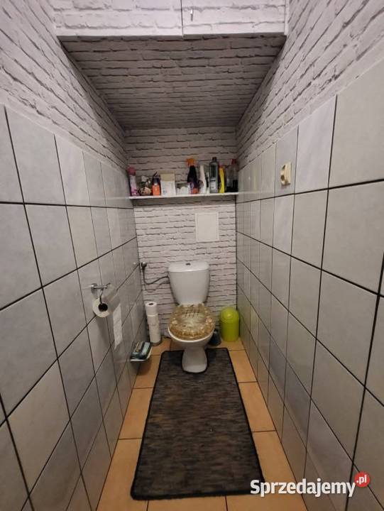 Sprzedam mieszkanie piwnica Banie
