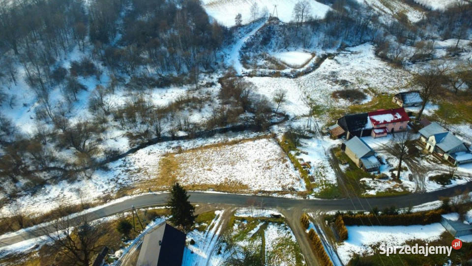 Działka na sprzedaż 2593m2 Paszowa