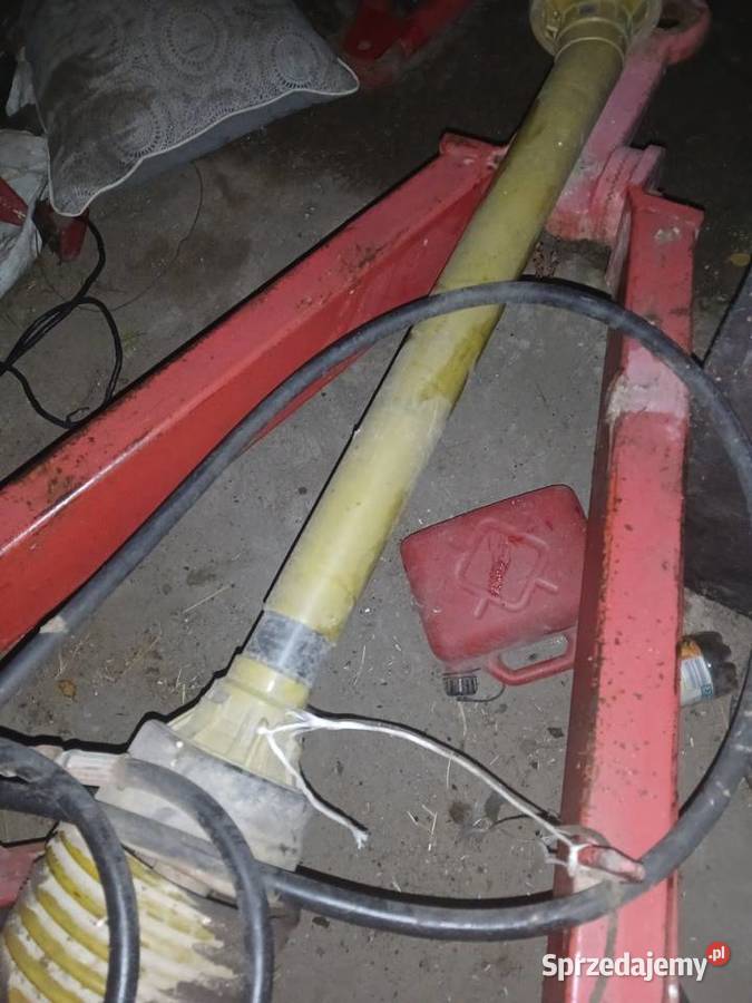 prasa morra Ostrzeszów