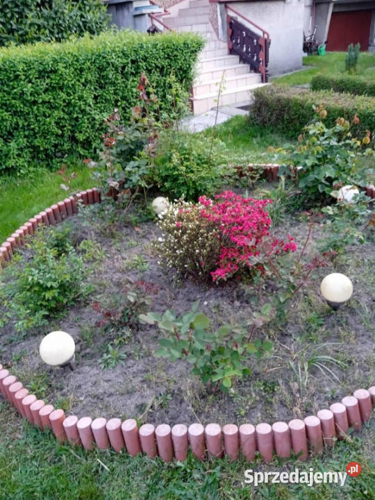 Sprzedaż wolnostojący Rybnik