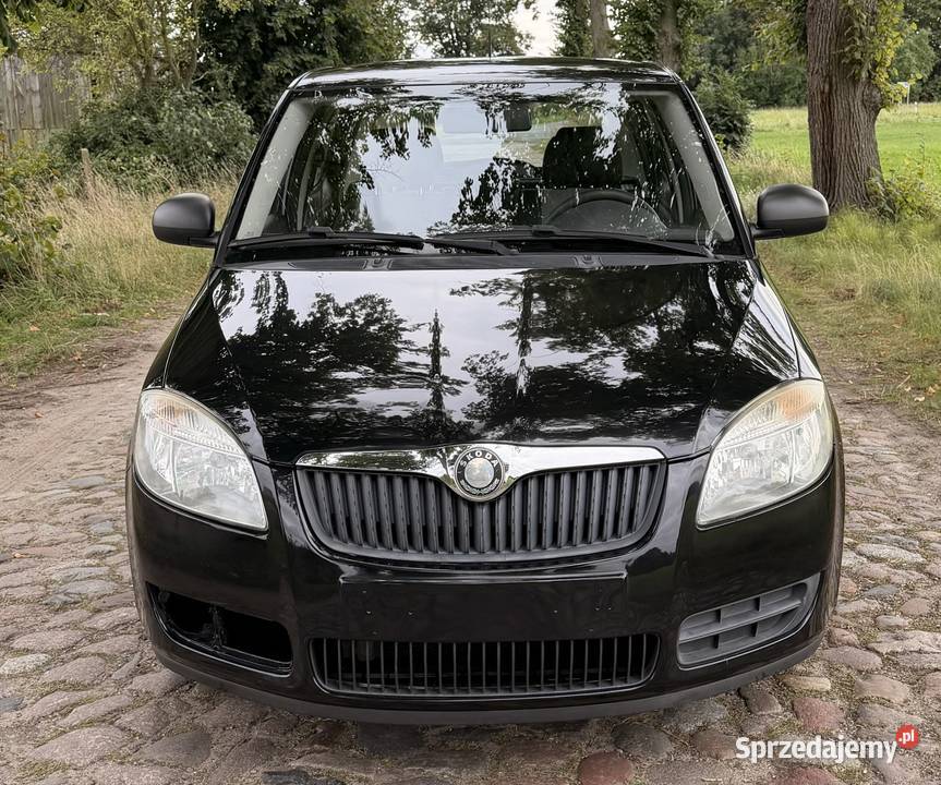 ładna i zadbana Fabia Hatchback Leszno