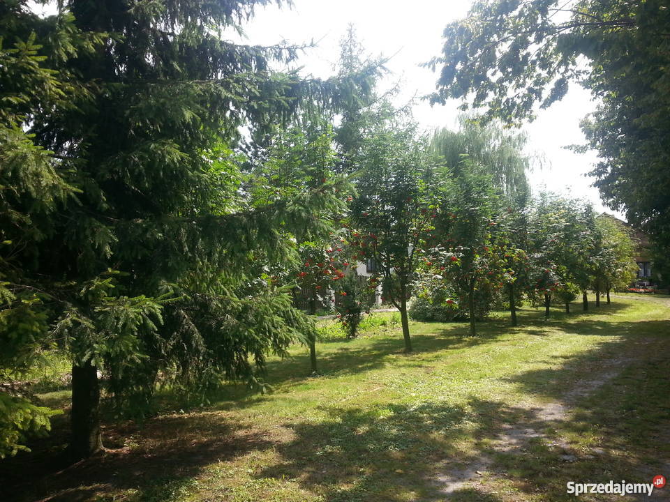 Sprzedam gospodarstwo rolne Gruszka Zaporska