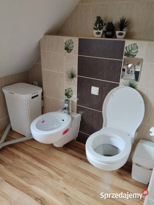 mam pokój do wynajęcia na Opener Festival Gdynia