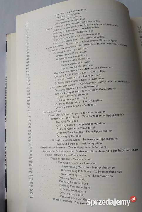 URANIA TIERREICH Protozoa bis Echiurida Hajnówka