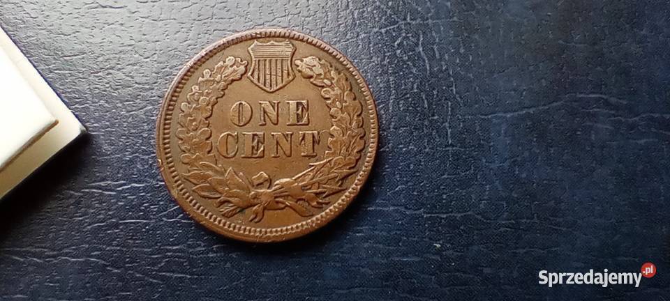 Stare monety 1 cent 1894 USA podkarpackie Lesko