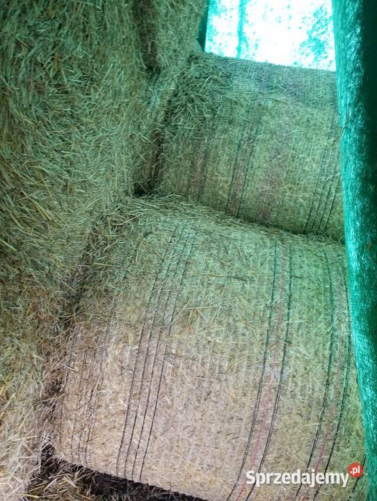 Sprzedam słome prasie Mchele 100 i 90 Burszewo