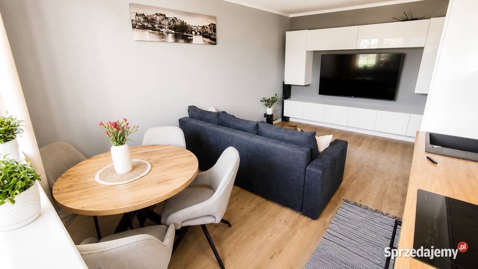 Mieszkanie 497m2 salon z aneksem 2 sypialnie Poznań