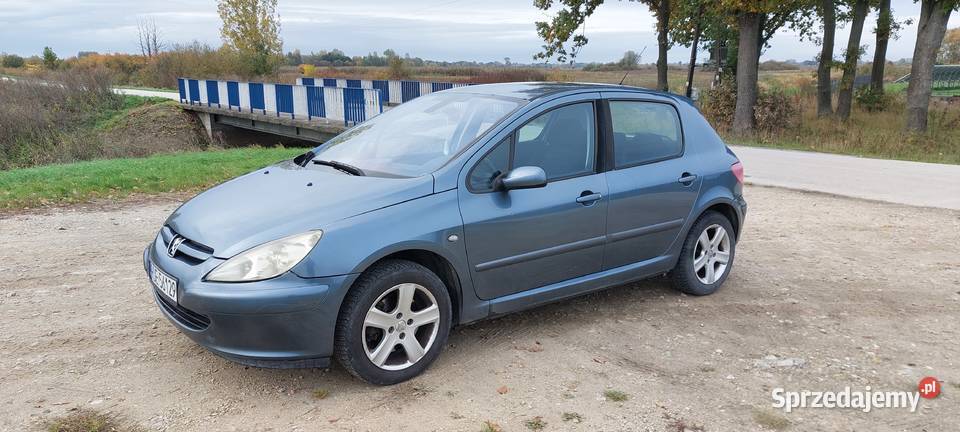 Peugeot 307 Szczucin