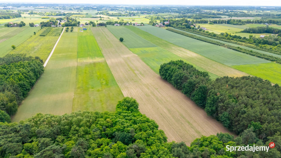 Kampinos Zawady 58ha z domem do remontu Sprzedaż sprzedam