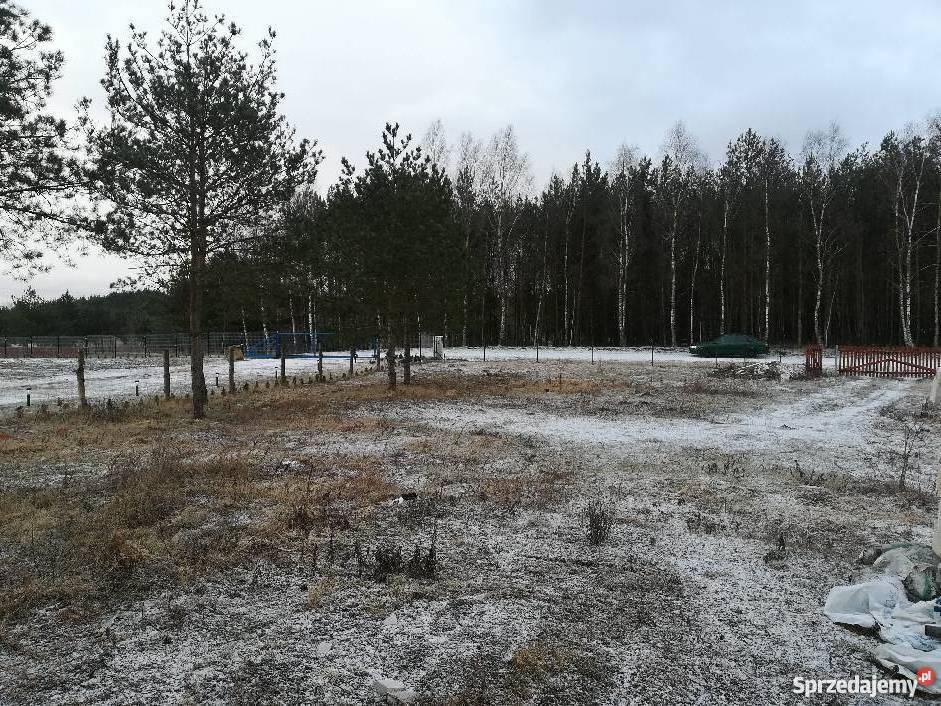 Sprzedam działkę 3000m2 Grunty i działki Krąplewice sprzedam