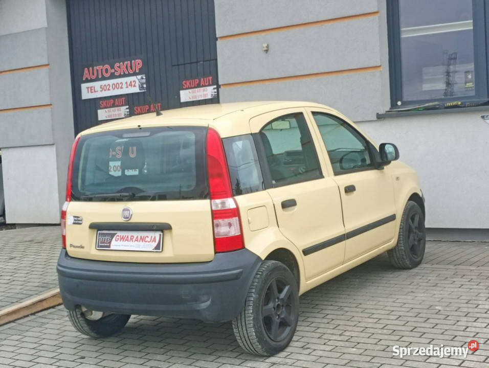 Fiat Panda klimatyzacjaalufelgi II 20032012 żółty Chełm Śląski