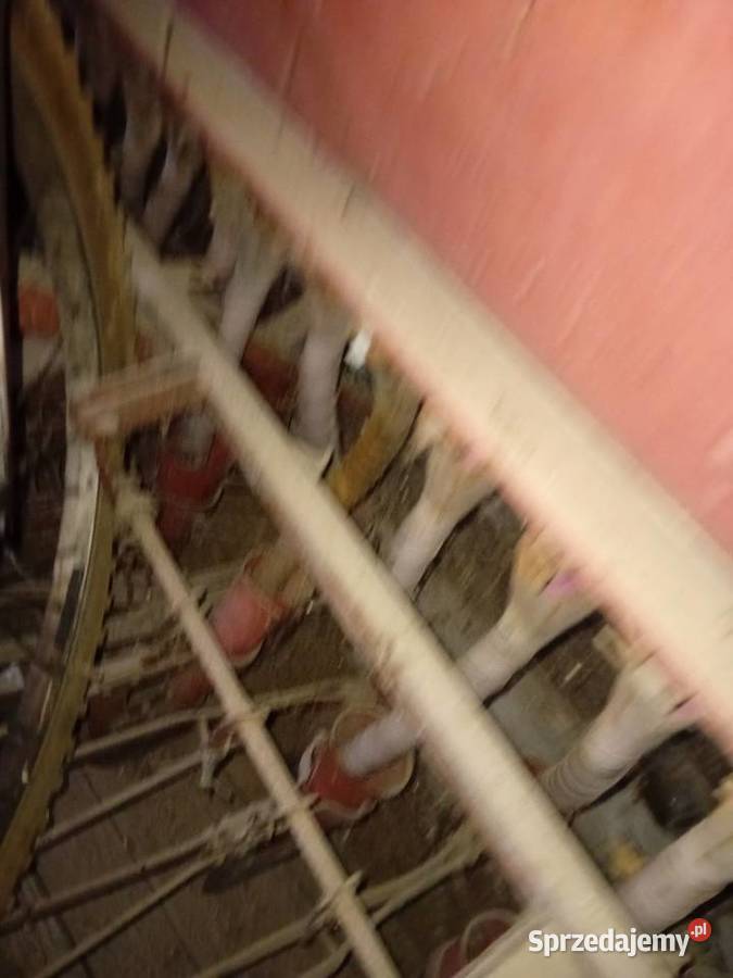 Siewnik konny półtorak