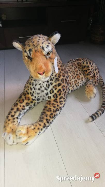 Pluszowa zabawka 3 lata+ Wołomin