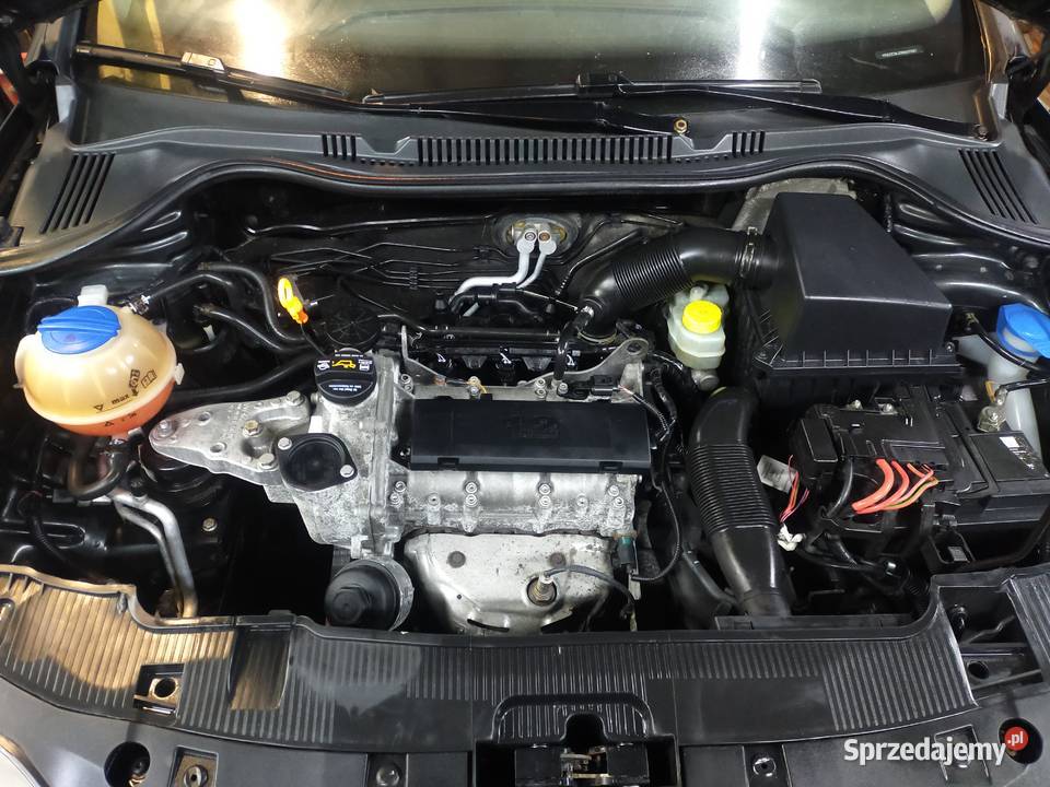seat ibiza 1200 benzyna 2009r ekonomiczny stan b opolskie Nysa
