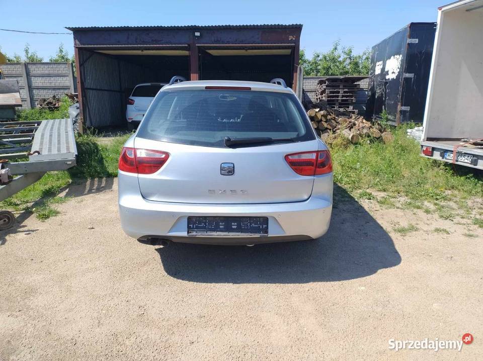 Seat Exeo Konie