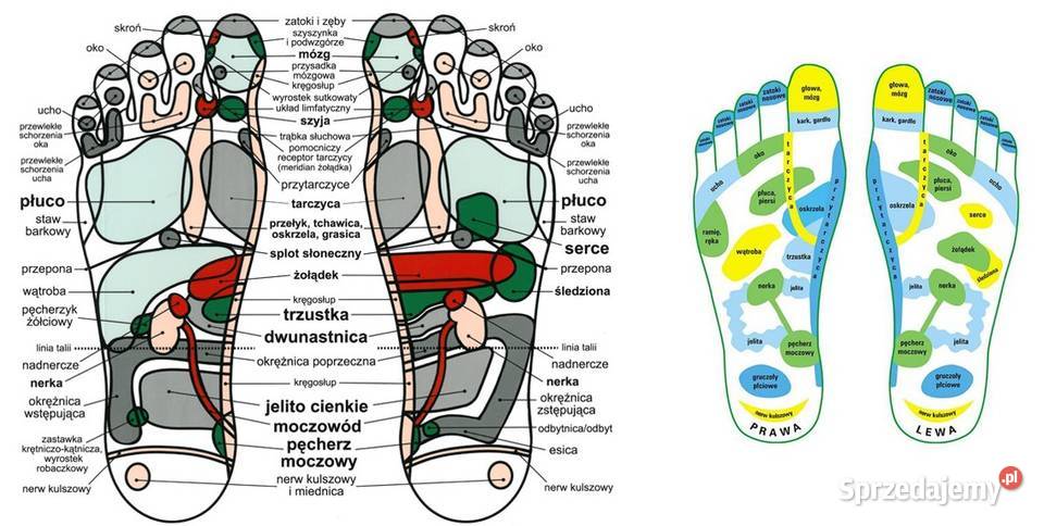 skarpety do masażu refleksologii akupresury świętokrzyskie
