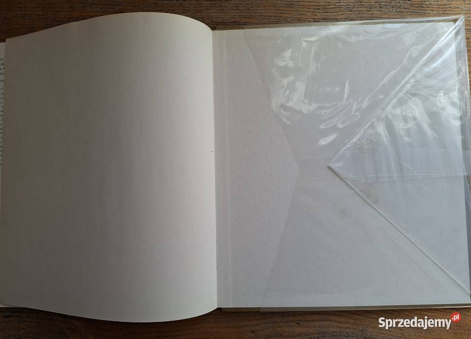 W kręgu sztuki Wit Stwosz Arkady twarda Kraków