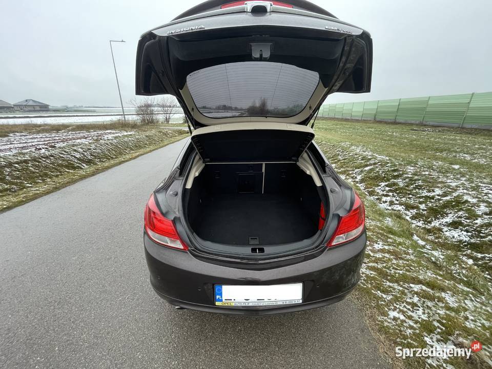 Opel Insignia20 OPC 4X4 AUTOMAT SKÓRY NAVI lubelskie Garbów sprzedam